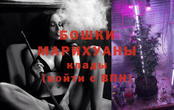 a pvp Белокуриха