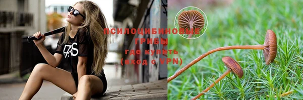 a pvp Белокуриха